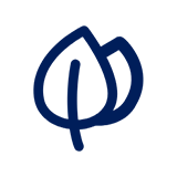 星空官方網(wǎng)頁版