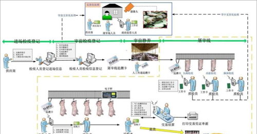 海南屠宰場稱重管理軟件與淄博定制服務 提升屠宰業智能化水平